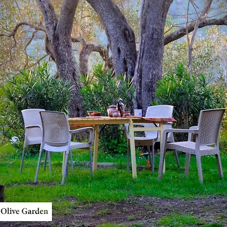 House In The Olive Garden Apartment Agios Ioannis  Exterior photo