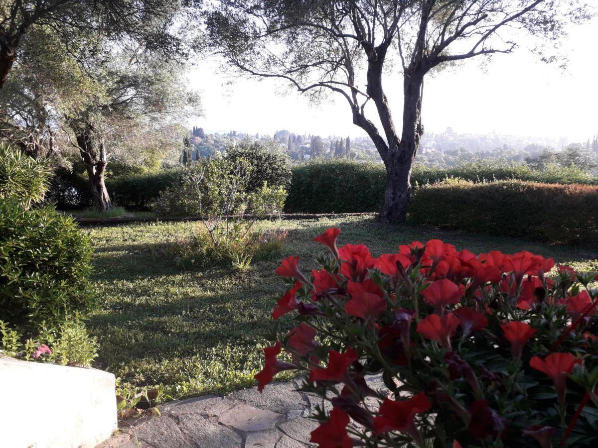 House In The Olive Garden *
