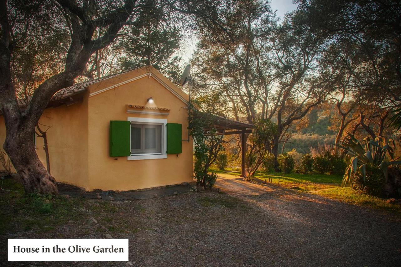 House In The Olive Garden *
