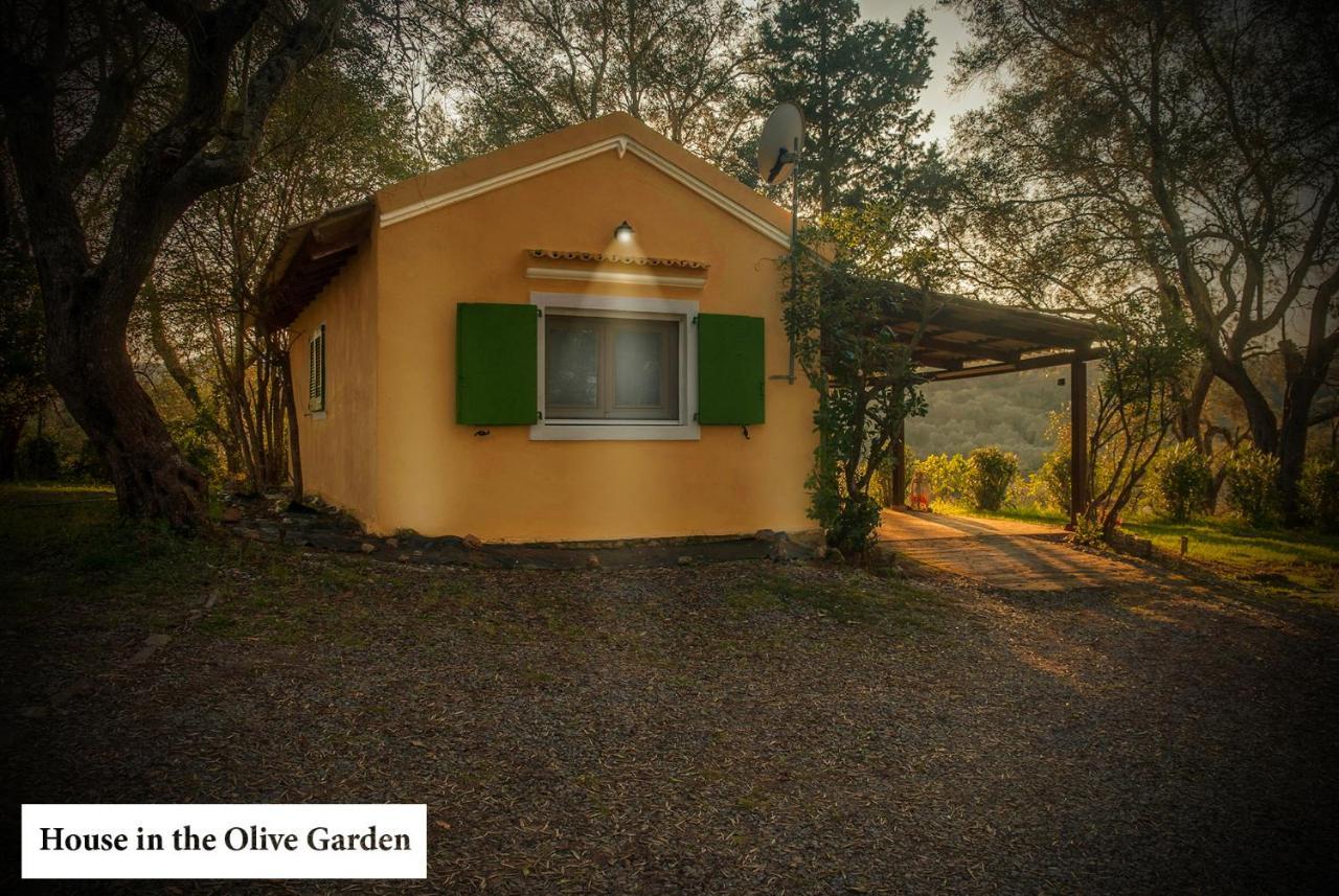 Apartment House In The Olive Garden *