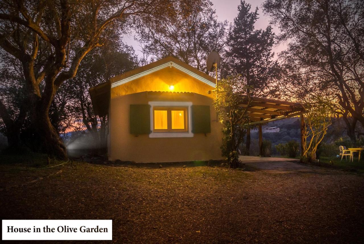 House In The Olive Garden Apartment