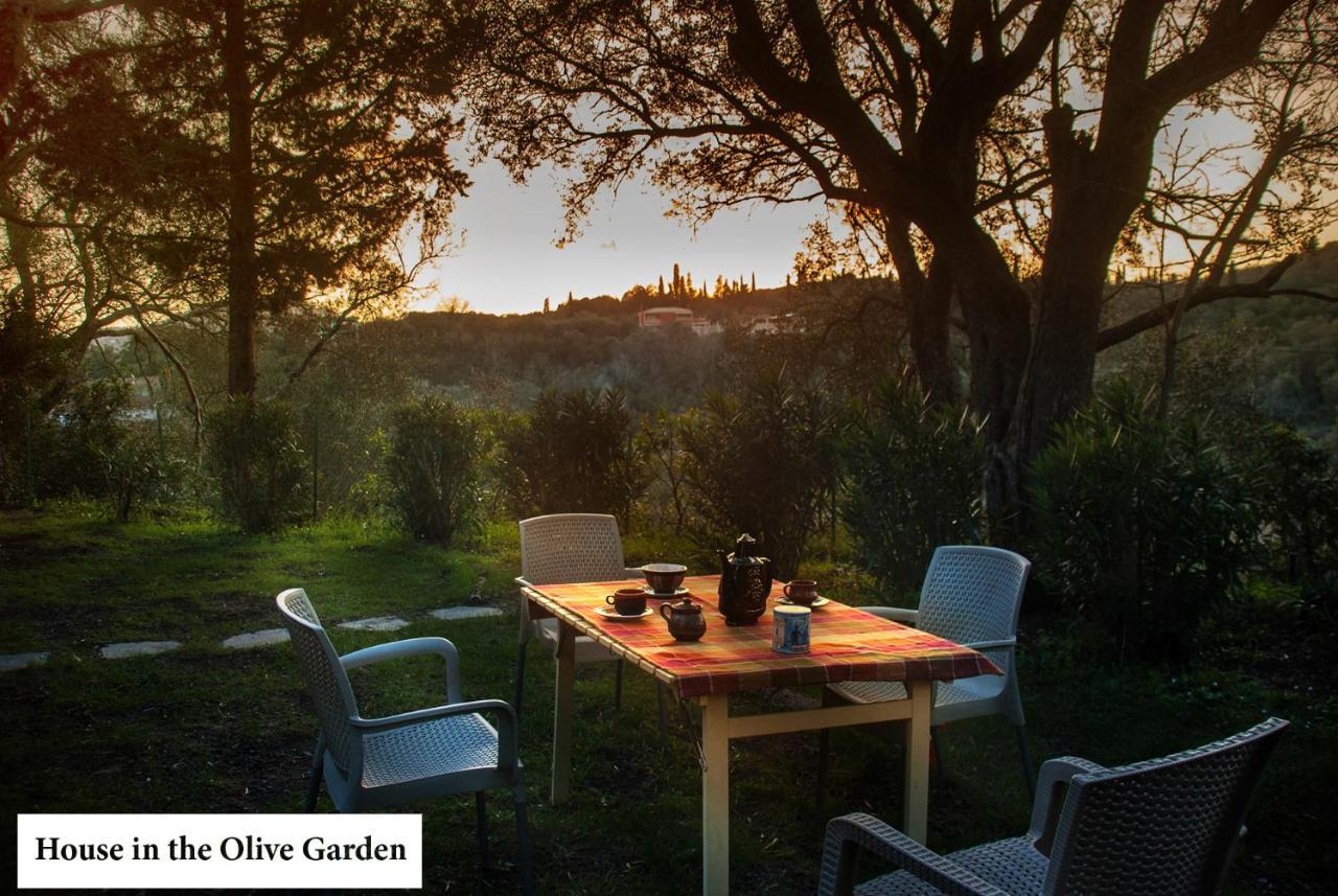 Apartment House In The Olive Garden