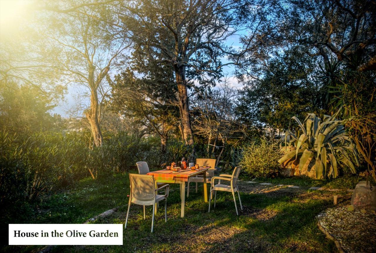 House In The Olive Garden Agios Ioannis (Corfu)