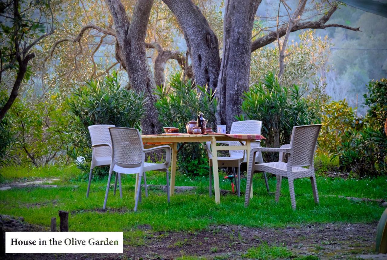 House In The Olive Garden * Agios Ioannis (Corfu)