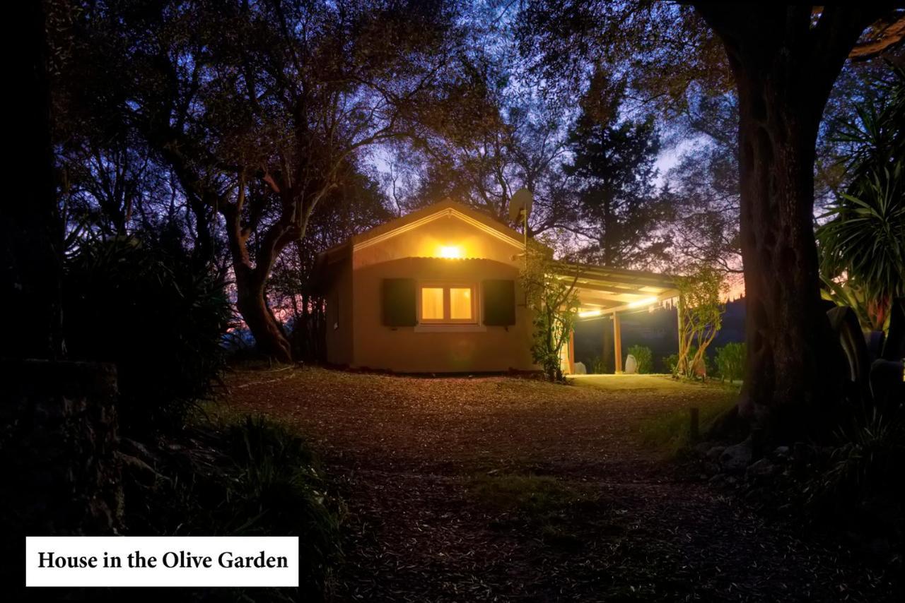 House In The Olive Garden