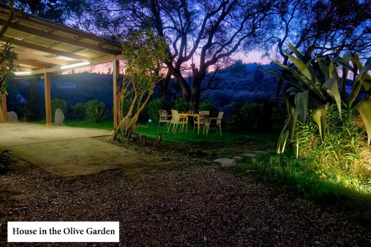 House In The Olive Garden Apartment
