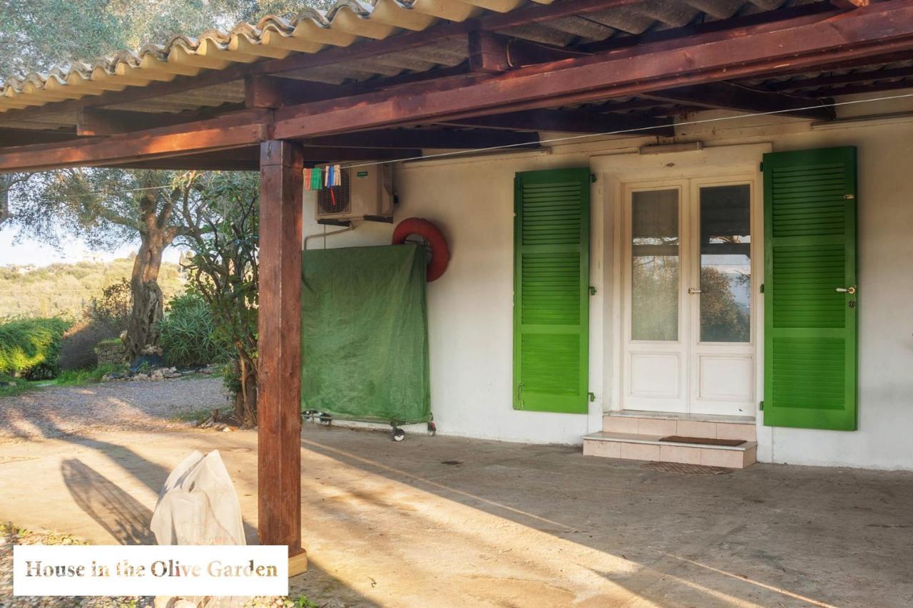 House In The Olive Garden Apartment *