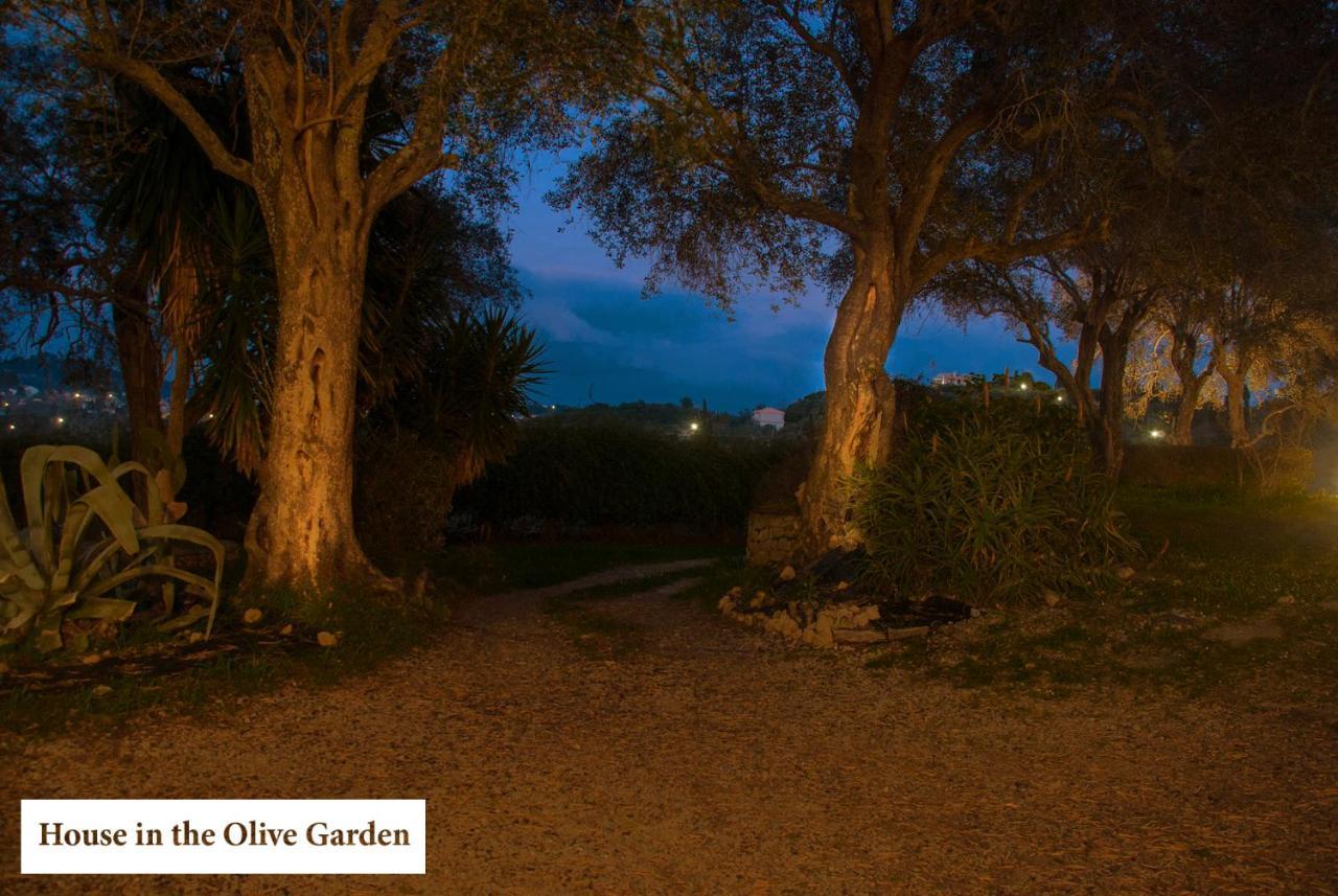 House In The Olive Garden