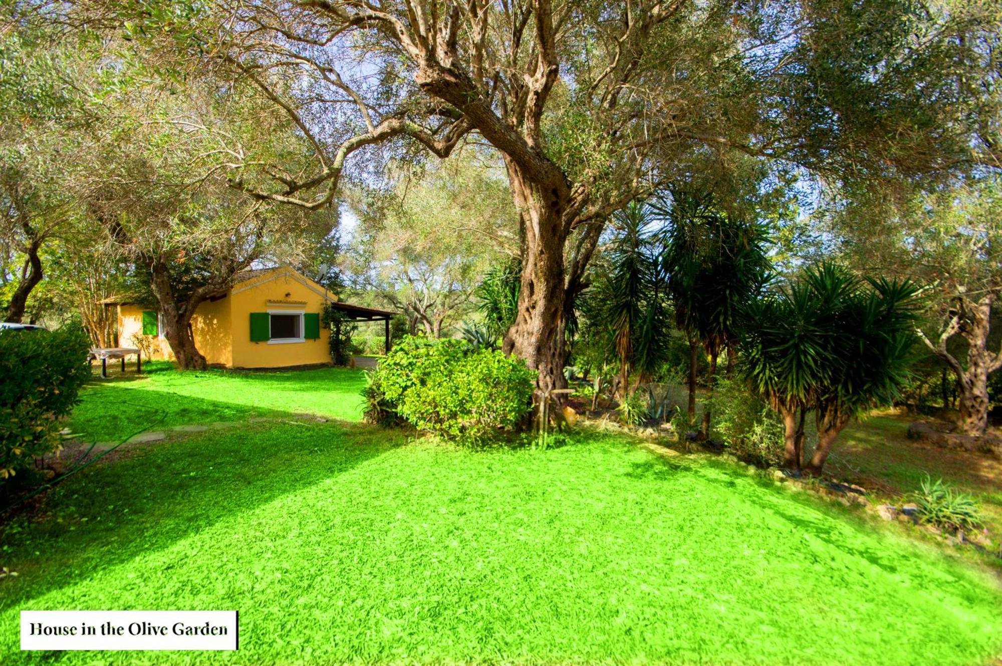 House In The Olive Garden *