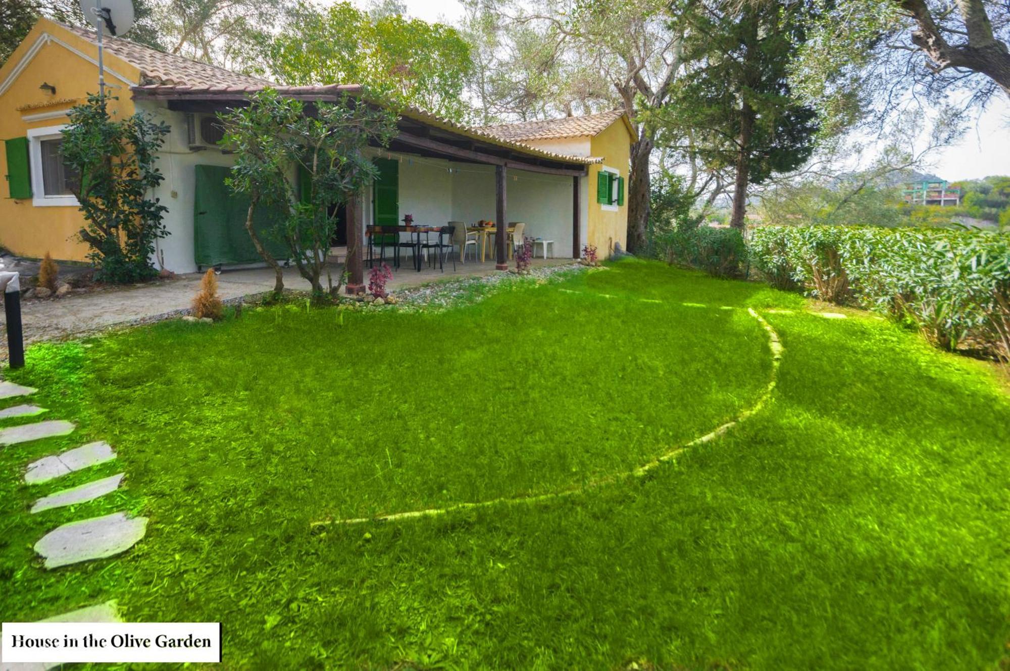 House In The Olive Garden Apartment Agios Ioannis (Corfu)