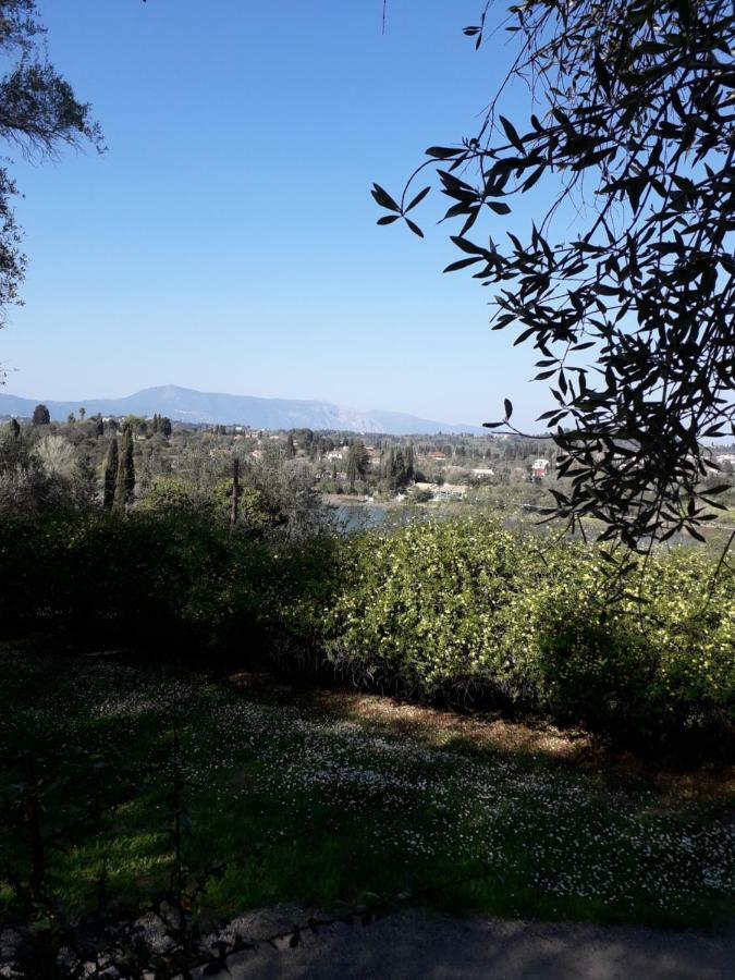 Apartment House In The Olive Garden Agios Ioannis (Corfu)