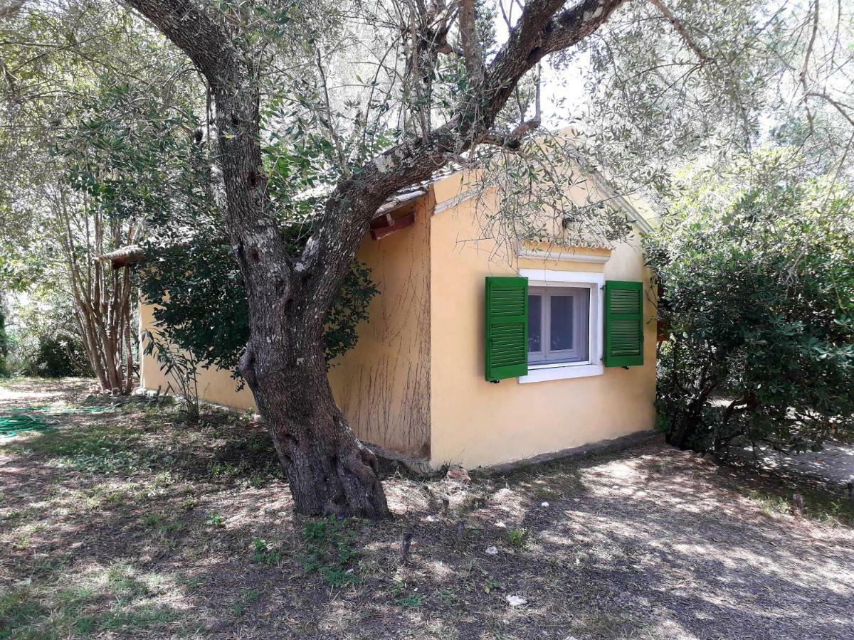 House In The Olive Garden Apartment *