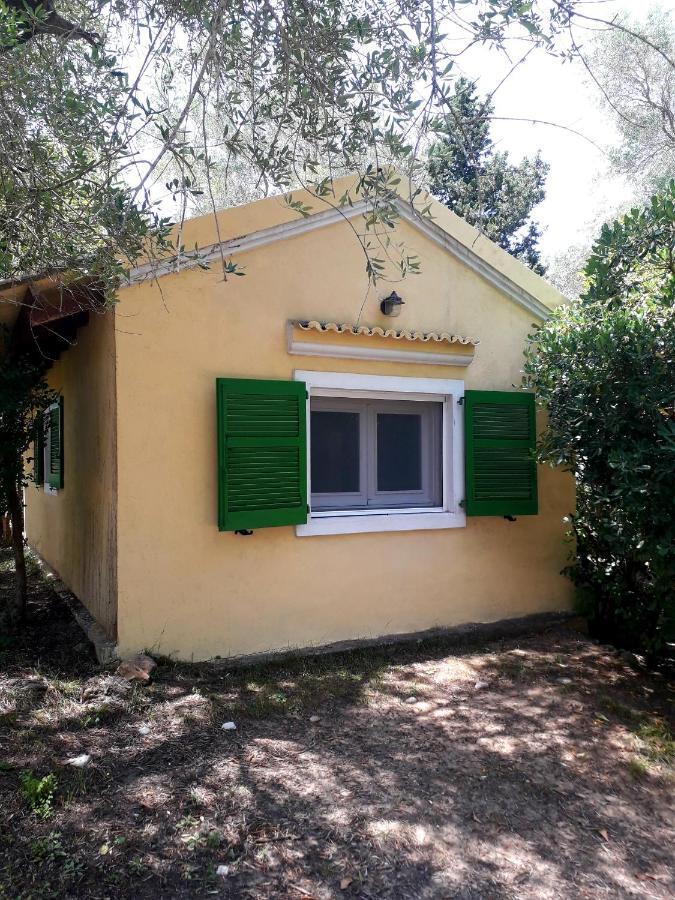 Apartment House In The Olive Garden *